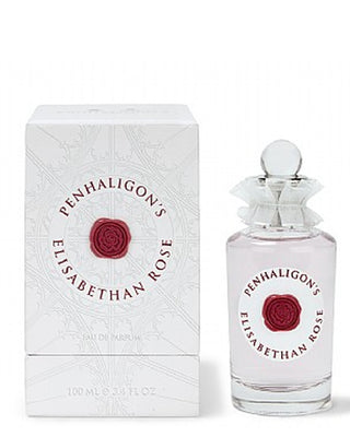 Elizabethan Rose (EDP)