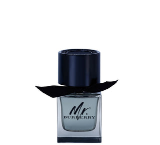 MR burberry edt