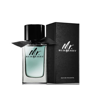 MR burberry edt