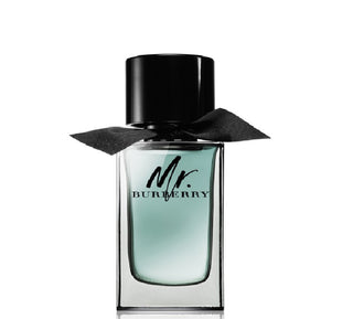 MR burberry edt