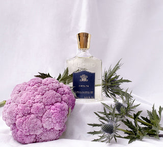 Erolfa (EDP)