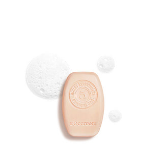 Repair Solid Shampoo 60gr.