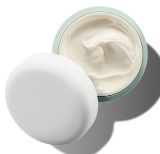 The Body Cream 300ml