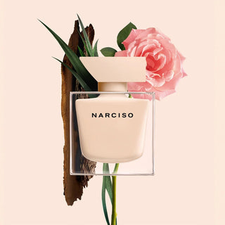 NARCISO POWDER (EDP)