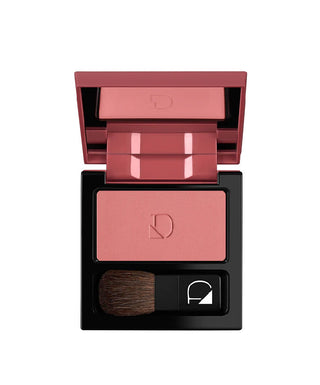 POLVERE COMPATTA PER GUANCE