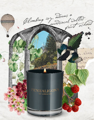 Roanoke Ivy Candle 200gr.