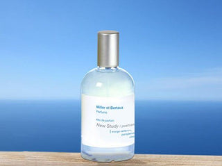 New Study (postcard) (EDP 100)