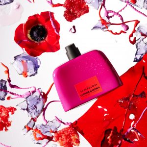 Profumi di nicchia a meno di €70,00? Scopri la nostra selezione!