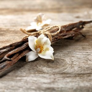 Come scegliere il profumo per l’autunno: guida alle note olfattive!