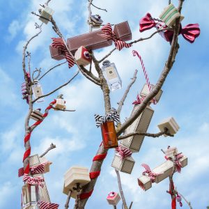 Idee regalo a partire da €20,00? Scoprile subito!