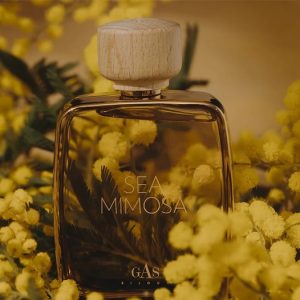 5 Profumi per la Festa Internazionale della donna!