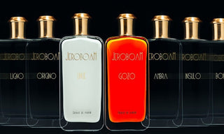 Profumi d’inverno: il calore di una fragranza che abbraccia