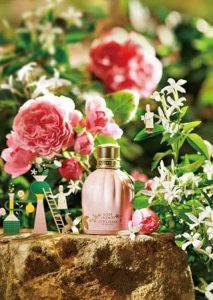 Le nuove fragranze di fine Gennaio: un anticipo di primavera e di poesia