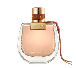 Nomad Absolute (EDP)