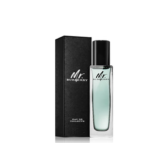 MR burberry edt