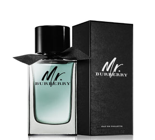 MR burberry edt