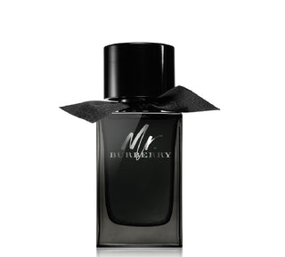 MR burberry EDP