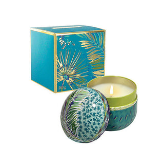 Coriandre Lemongrass Candela 200gr.