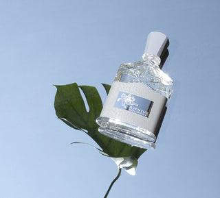 Aventus Cologne (EDP)