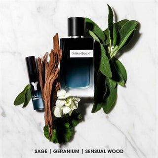 Y (EDP 100ml)