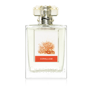 Corallium (EDP)