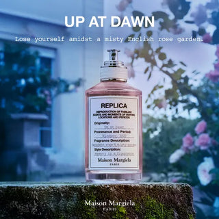 Up at Dawn EDT