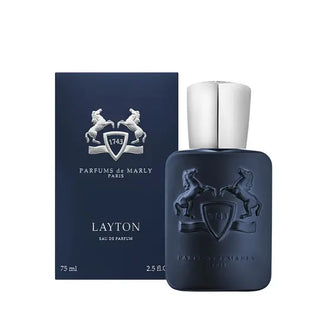 Layton (EDP)