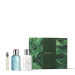 Coastal Cypress & Sea Fennel Lozione Corpo 300ml